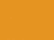 d RAL 1007 желтый нарцисс